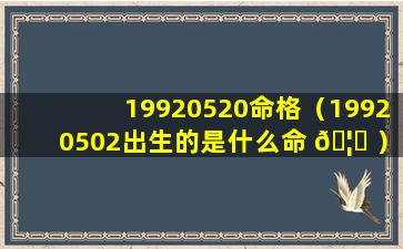 19920520命格（19920502出生的是什么命 🦟 ）